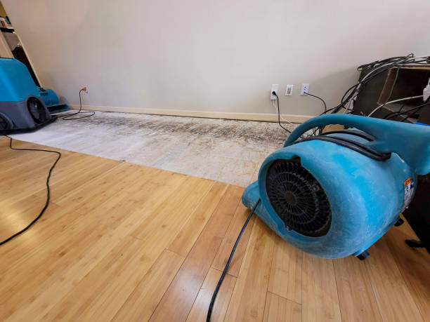 Professional Water Damage Repair technician working in Oxford, IN